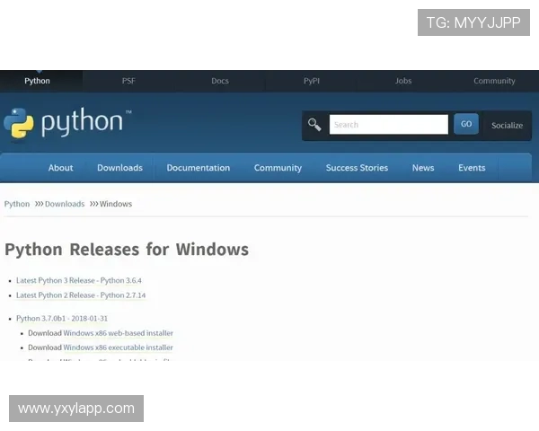 亚星官网平台入口登录流程详解，操作步骤一目了然