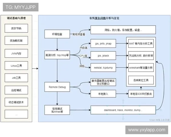 亚星平台app常见问题解决方案汇总，帮助用户快速排查使用中的各种问题