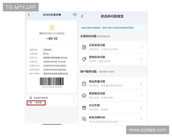 亚星正网官网平台支付方式全景分析及安全保障措施详解