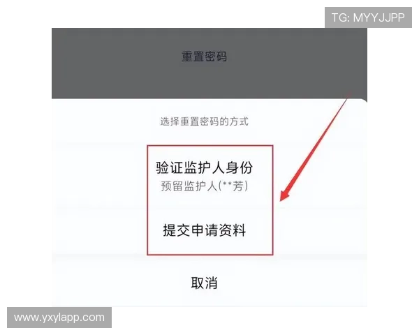 亚星娱乐手机官网账号安全与密码重置操作流程